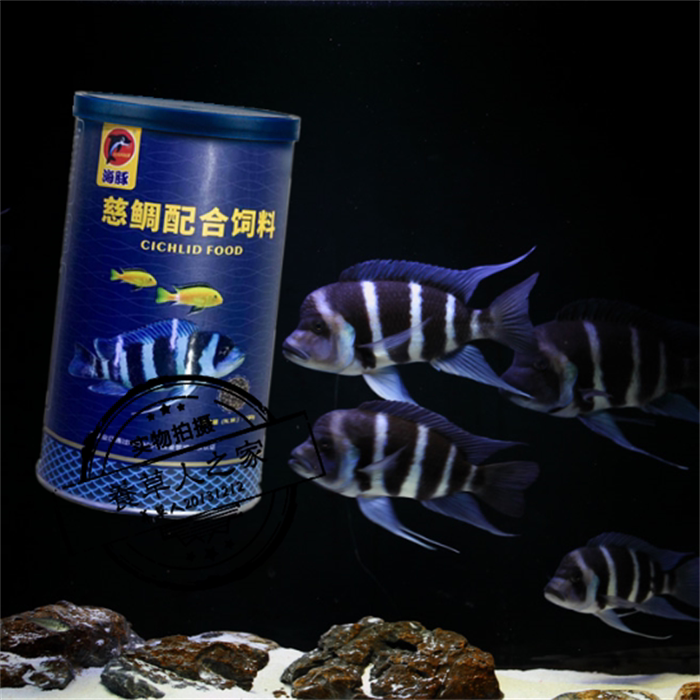 速发海豚鱼饲料小颗粒三湖增色坦鲷马鲷科六间鱼喂食慈鲷配合鱼饲