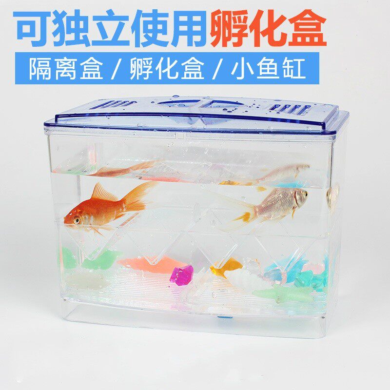 速发鱼缸孵化盒独立式离隔盒繁盒盒水族斗鱼殖亚克力隔离缸外多功