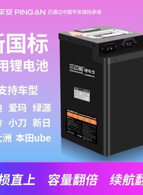 速发适用於星恒 48V24Dh爱玛绿源UBE/SO7祖玛Aax e锂ZOOR e