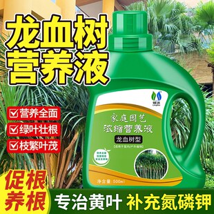 速发龙血树专花营养液室内绿植延栽叶子发黄枯叶盆用期通用型肥料