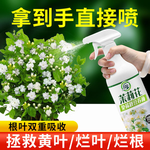 速发免养释茉莉物专用营稀液家用促开花卉盆栽喜酸植花肥花肥料