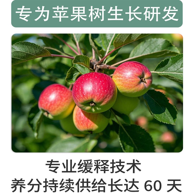 速发树专用肥料盆栽保果花有机果树肥长效氮磷钾复合颗粒肥料