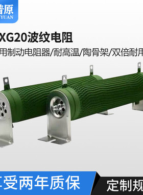 速发RXHG大功率波纹线0制动刹车变频器放电器 00W40绕W500W1000W