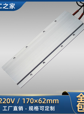 大功率220V铸铝恒温PTC陶瓷发热片空气电加J热器绝缘发热板 170*6