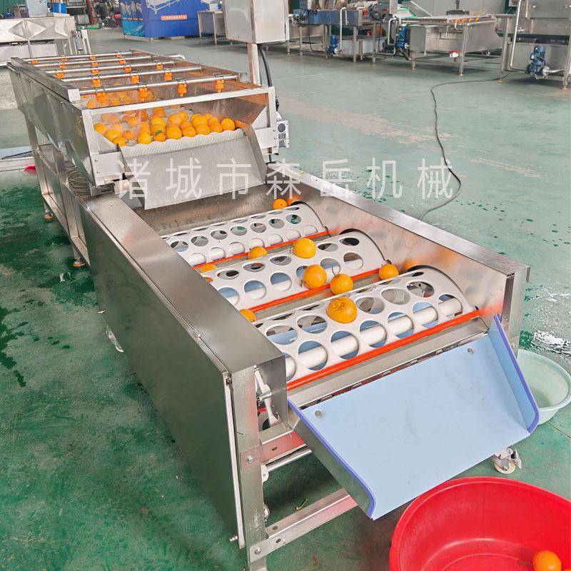 小型脐橙清洗分选果机水果清洗分选设备小型柑橘选果洗果一体机