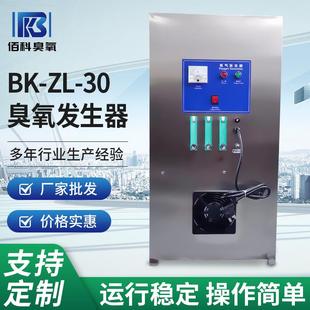 臭氧发生器泳池循环水处理臭氧发生器养殖水源工业脱色臭氧设备