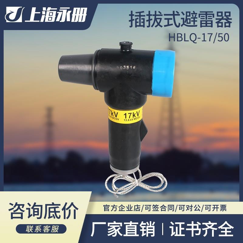 10KV欧式电缆插拔式避雷器35kv分支箱后接头肘型BLQ-17/50/630A
