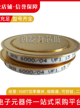 SKN6000/04 SKN6000/06平板晶闸管