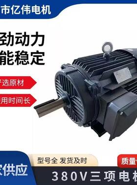 厂家直发YE2YE3YE4三相异步电动机6极1.5w、2.2w、3w