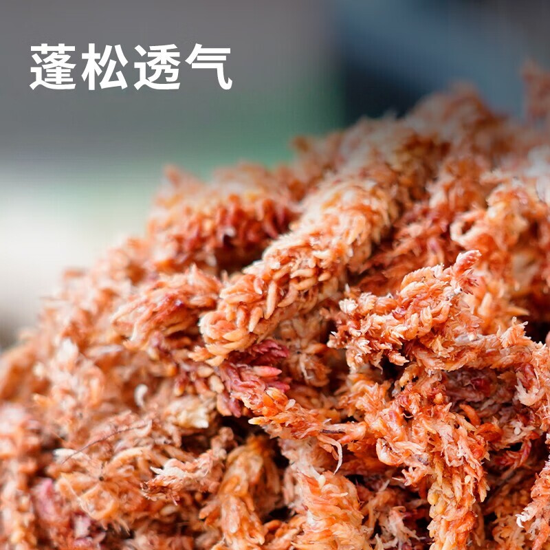 毛毛虫水苔干水苔蝴蝶兰专用智利进口苔藓乌龟造景土兰花专用植料