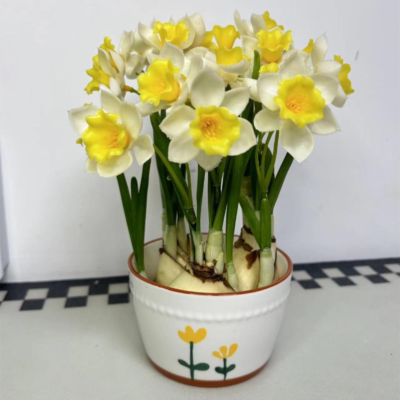 特级漳州水仙花带芽带盆水养花卉年宵花卉桌面盆栽浓香型植物好养