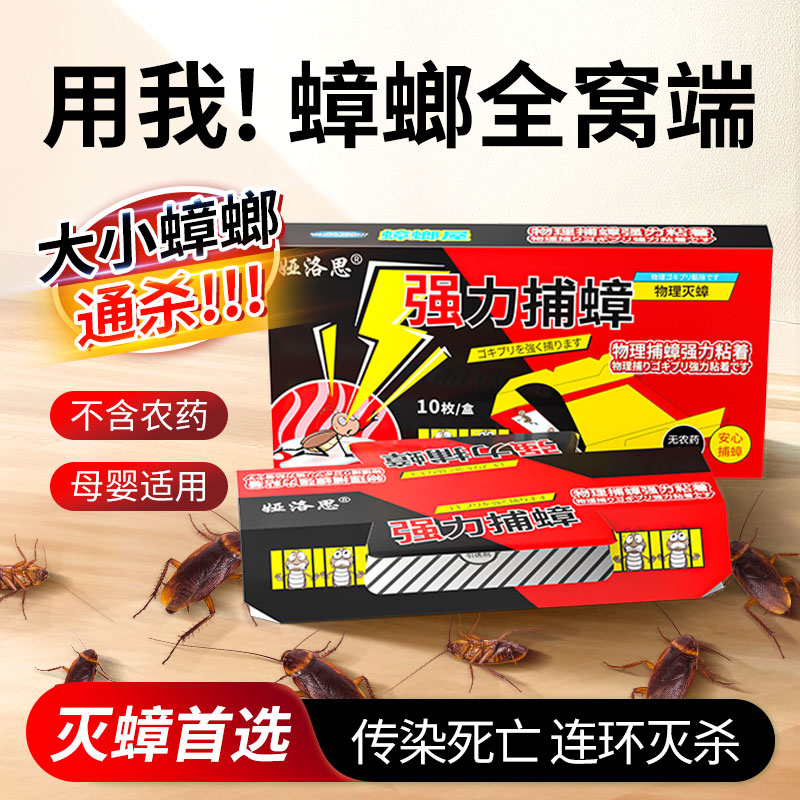 【蟑螂克星】蟑螂药买一次管一年