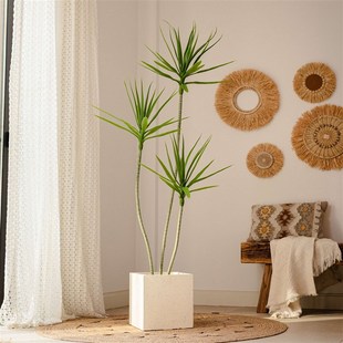 仿真绿色植物仿生k龙舌兰龙蛇树植物盆栽假树轻奢客厅室内装 饰摆