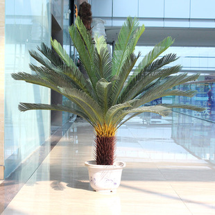 假树仿真苏d铁树盆栽室内外落地装饰绿植摆设庭院苏铁树假植物盆