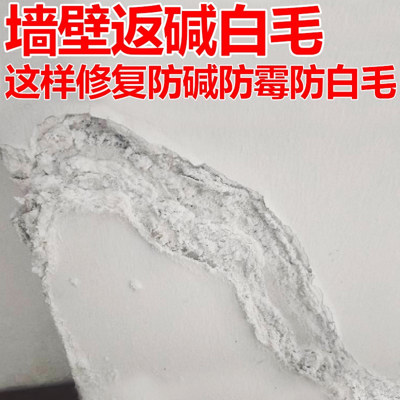 墙面防水材料防碱防霉墙壁渗水潮C湿脱落修复装修翻新发霉白毛处
