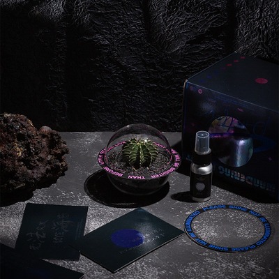 【流浪星球】仙人掌多肉绿植w微景观室办公室桌面小盆栽创意礼盒