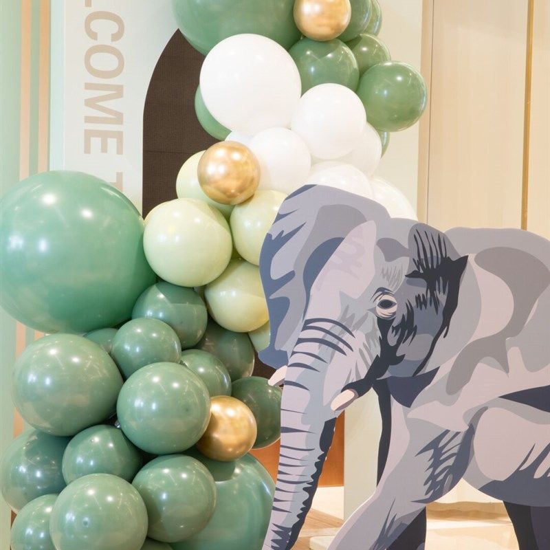 幼儿园毕业开学小动物周岁背景板KT板生日森林系绿色气球布置装饰,节庆用品/礼品,节日装扮用品,淘宝优惠券,粉丝福利购,淘宝优惠卷