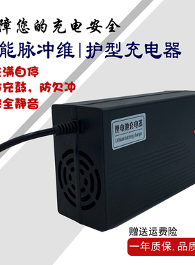 12串36V磷酸铁锂离电池电动车充电器43.8伏v2A3A5A6A8a10A安铝壳