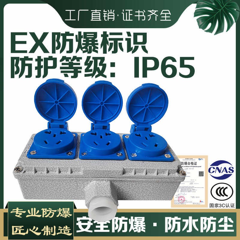 EX防爆插座220V五孔明装10A/16A暗装86型工业防水三孔接线板插销