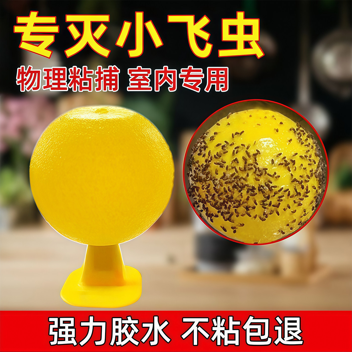 果蝇小飞虫诱捕粘蝇球家用