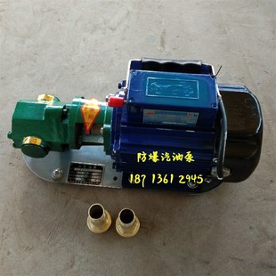 2.5增压油泵 现货电动齿轮泵2CY4.2 高温燃喷射泵汽油泵重油渣油