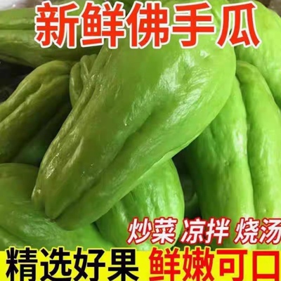 Yunnan Fresh Chayote Melon Fresh и нежные выборы и выпуски, чтобы обеспечить свежесть