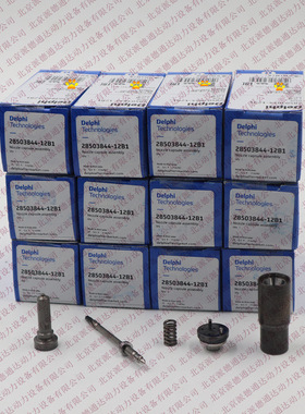 28503844 L517KTR 油嘴套件使用喷油器BEBJ1D04001 2047600