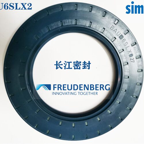 德国CFW骨架油封 BAU6SLX2 135-170-12 110-200-13 125-200-15/12