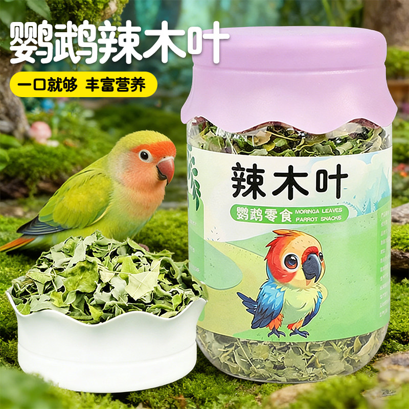 新鲜天然辣木叶干天然晾晒鹦鹉零食无碎末中小型鹦鹉通用喂养用品 - 宠爱一生小宠物用品店出品