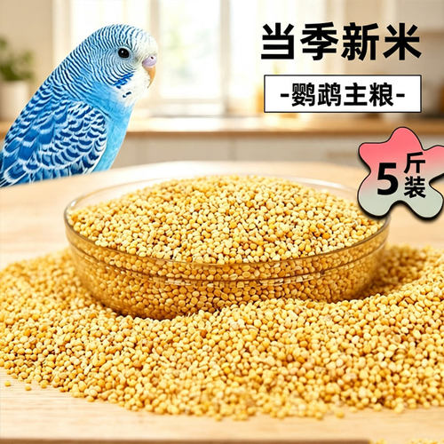 冠之亚带壳黄谷子鹦鹉鸟粮