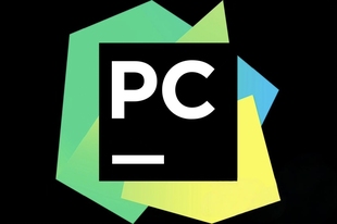 pycharm pro 正版激活码 纯激活码！不需要下载插件 直接复制激活