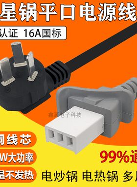 适用多星平口电源线4000W电锅水壶炒锅三孔连接线一字平头插头线