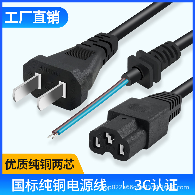 电动车充器源线两插头输入