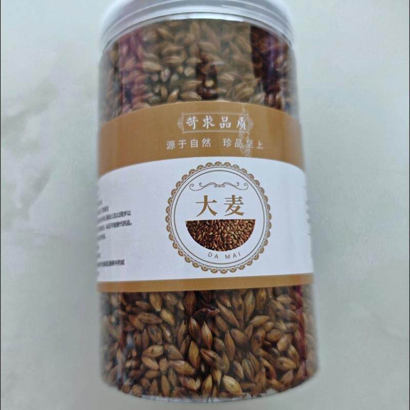 浓香型新大麦茶粒正宗特级纯原味养生炒熟罐装低温烘焙饭店