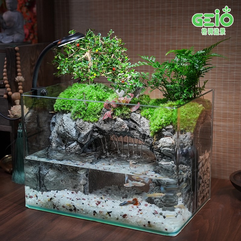 【花果山】生态造景鱼缸微景观绿植物桌面过滤一体循环客厅水甄选