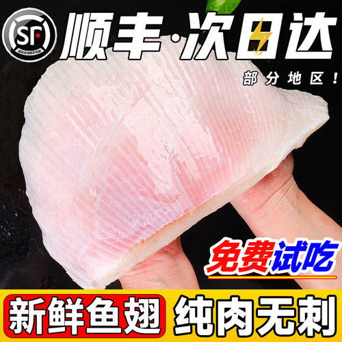 现切品质特大鳐鱼翅免费试吃