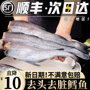 新鲜明太鱼深海无头鳕鱼去头鲜活速冻整箱狭鳕鱼棒棒鱼宝宝辅食