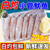 新鲜小管鱿鱼白灼鱿鱼冷冻大鱿鱼大笔管鱼小乌贼海鲜水产鲜活生鲜