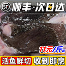 安康鱼安康鱼翅膀新鲜鱼鳍巴沙鱼鳍翅鱼肚鱼尾深海鱼海鲜水产生鲜