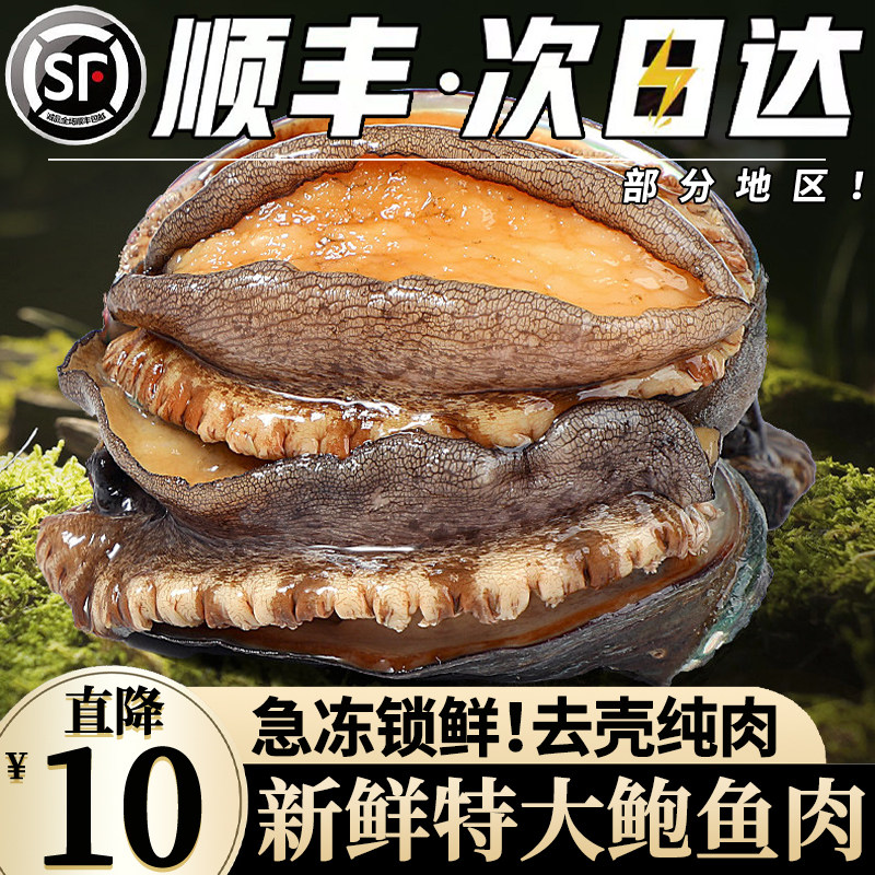 【顺丰冷链】鲍鱼肉新鲜商用纯肉