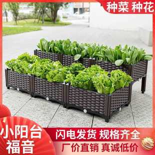 蔬菜种植箱特大阳台种菜盆长方形家庭屋顶菜园塑料花盆深花箱姗婷