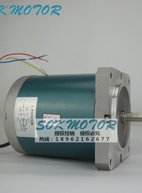110TDY060D4-2T17 永磁低速同步电动机 苏州斯奥克SOK MOTOR 铜芯