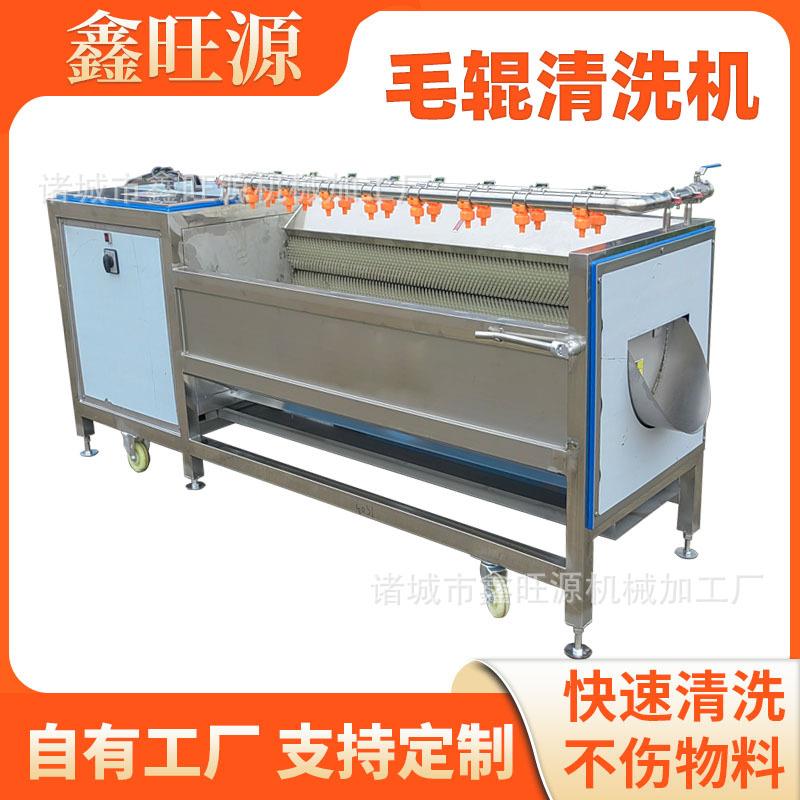 马蹄土豆去泥清洗设备商用田螺贝壳去青苔中小型毛辊清洗机