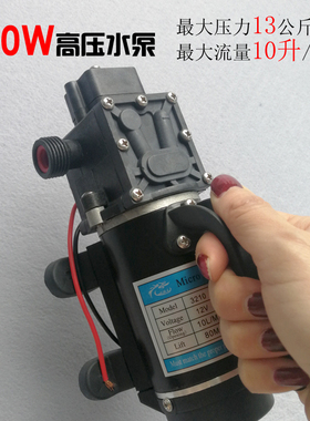 大功率高压打药洗车清洗机水泵家用电动隔膜泵打压测漏12V24V120W