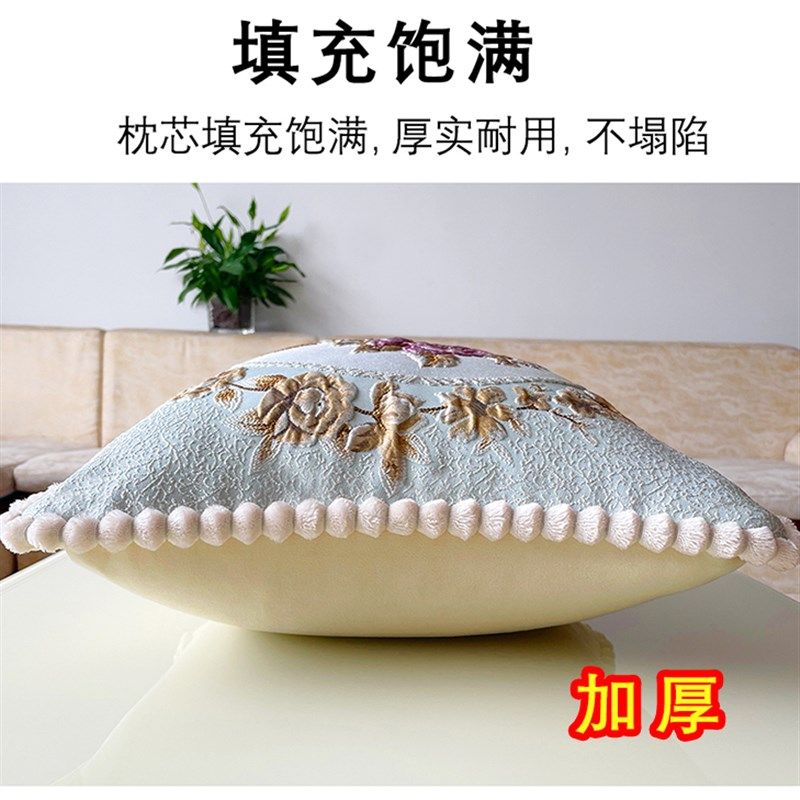珍珠棉沙发抱枕芯靠垫芯50 70 40 60 80靠枕大号方形填充物不变形,居家布艺,靠垫/抱枕,淘宝优惠券,粉丝福利购,淘宝优惠卷