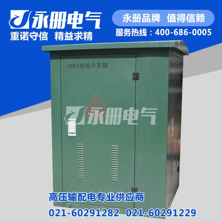 10KV电缆分支箱DFW型户外高压电缆分接箱（开闭所）