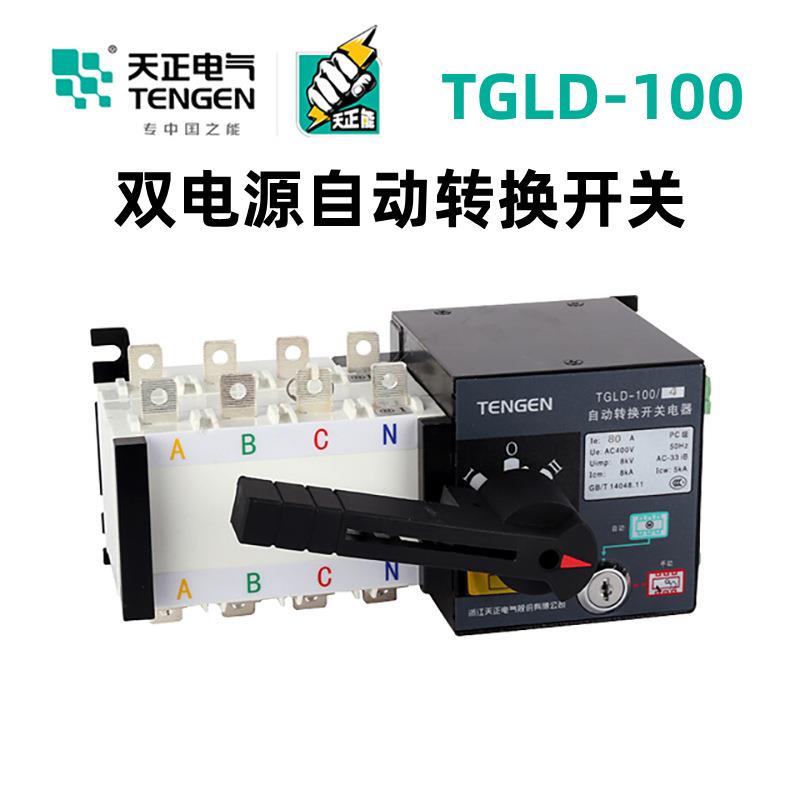 双电源自动转换开关TGLD-100/4P100324025A80A63A