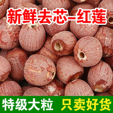 2024湖南特级去心红皮莲子干货带皮无芯红皮湘莲无添加剂500g包邮