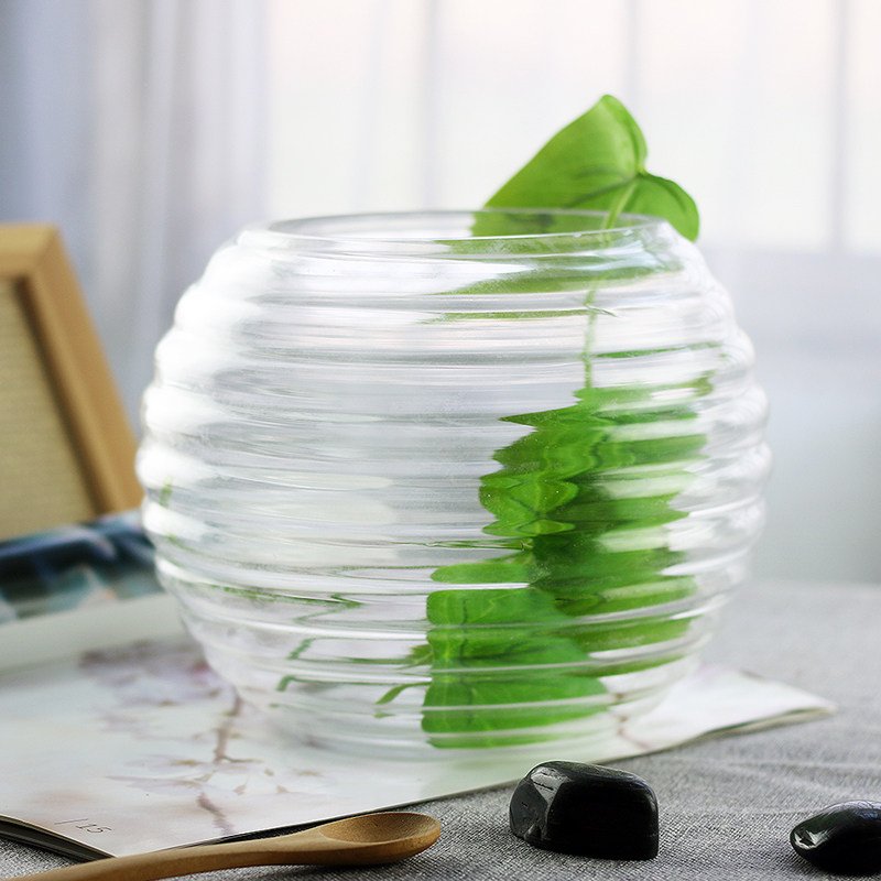 速发水培植物玻璃水 瓶培绿萝花瓶花盆玻璃圆球水缸鱼养器皿容器
