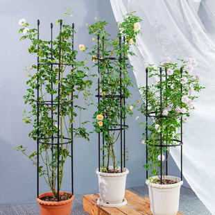 极速阳台花架爬藤架户外室内绿萝架子月季 花盆支架铁线莲蓝雪花花